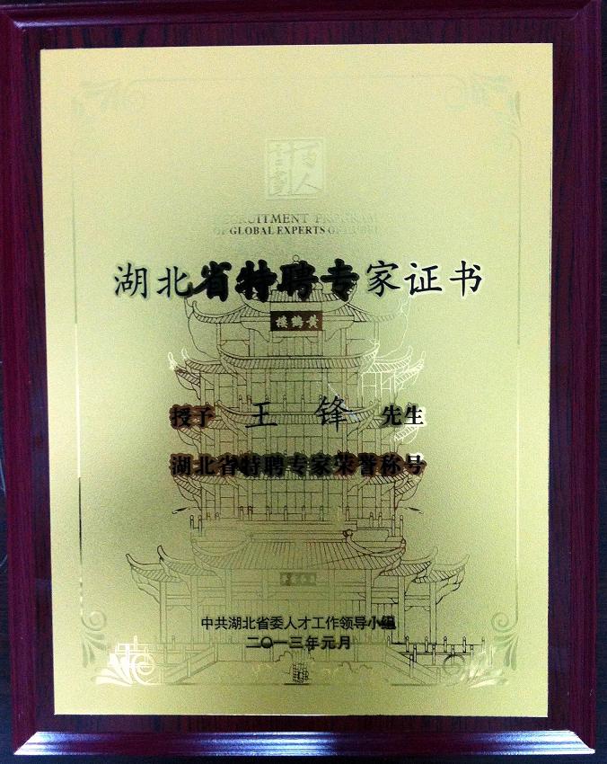 公司CEO王锋荣获&ldquo;湖北省特聘专家&rdquo;称号