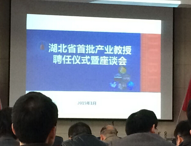 热烈祝贺我司CEO王锋被聘为首批&ldquo;湖北产业教授&rdquo;